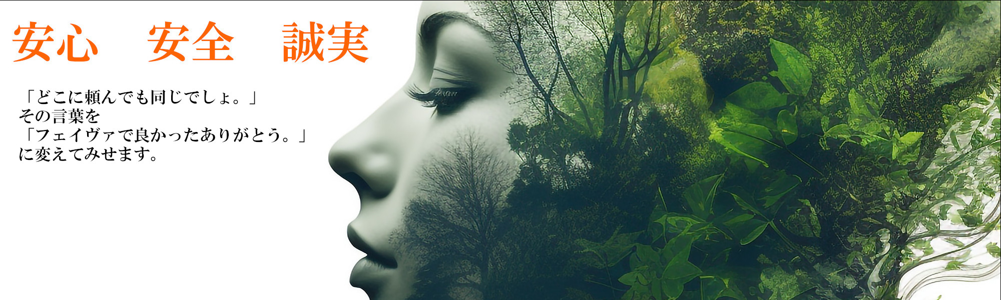 医療廃棄物のフェイヴァオープニング