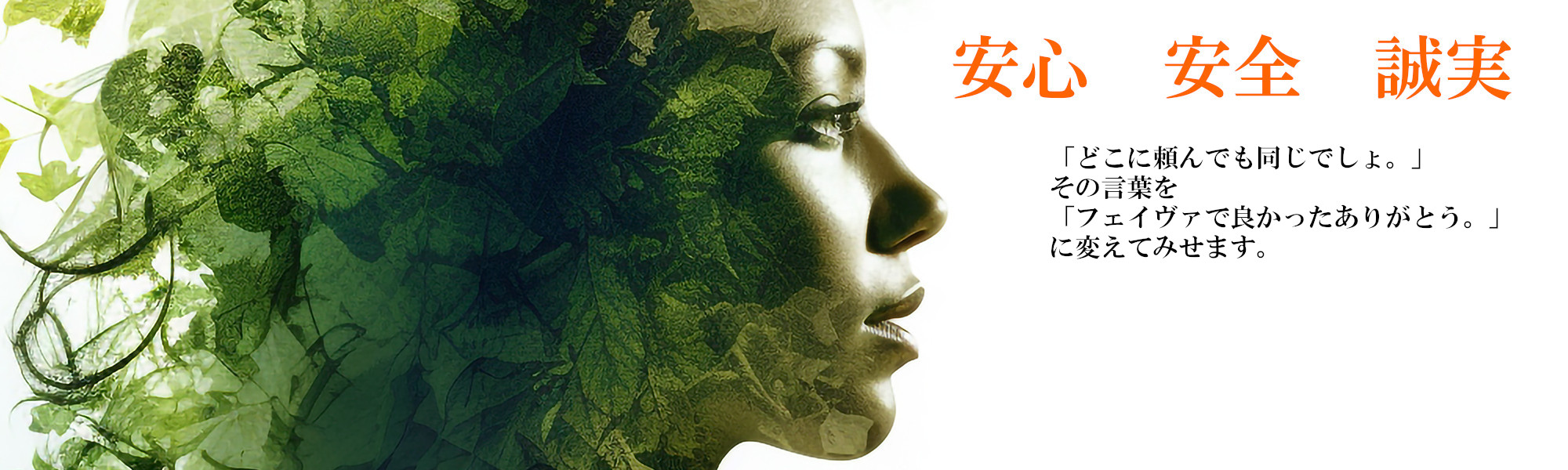 医療廃棄物の医療廃棄物のフェイヴァ